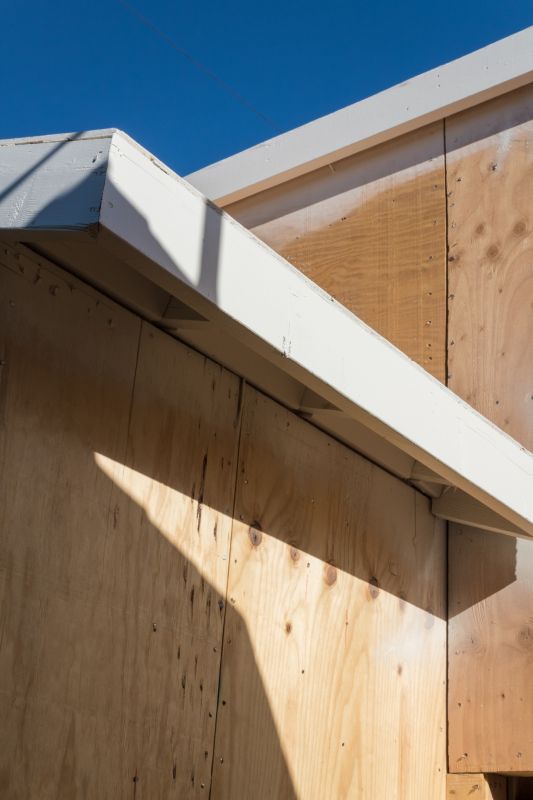 Before and After Fascia Repair