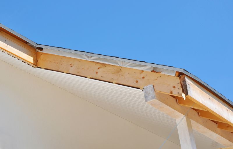 Garage Fascia Repair in Overland Park, KS