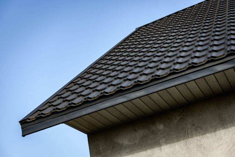 Metal Fascia Repair in Conroe, TX