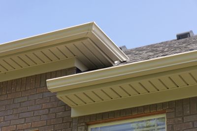 Increase Your Fascia Board Repair Business with an AI Driven, Targeted Website